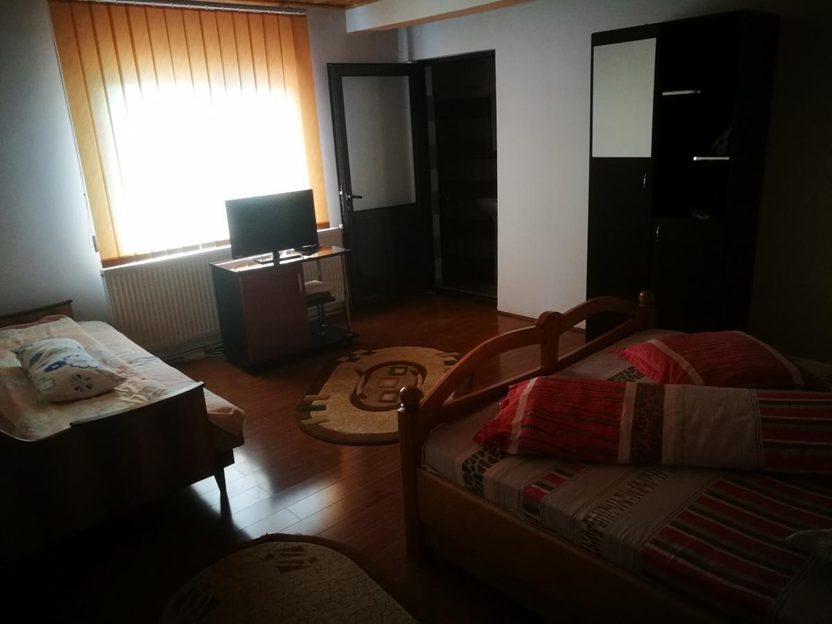 Novaci-Străini Pensiunea Remus酒店 外观 照片